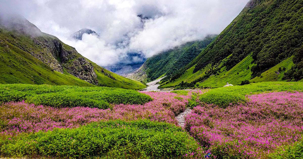 Valley of Flowers Trek